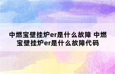 中燃宝壁挂炉er是什么故障 中燃宝壁挂炉er是什么故障代码